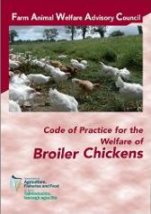 Cover Code of Practice for the Welfare of Broiler Chickens 2008