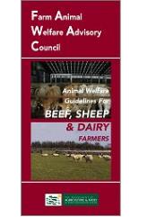 Cover Animal Welfare Guidelines for Beef, Sheep and Dairy Farmers 2003