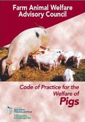 Cover Code of Practice for the Welfare of Pigs